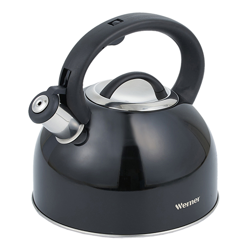 Чайник для кипячения воды Werner Revere 51097 2,5 л